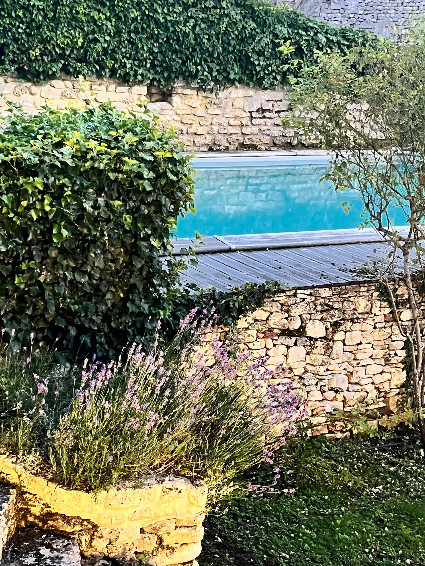 0fe91641-2b8f-4152-a150-c746504117ad